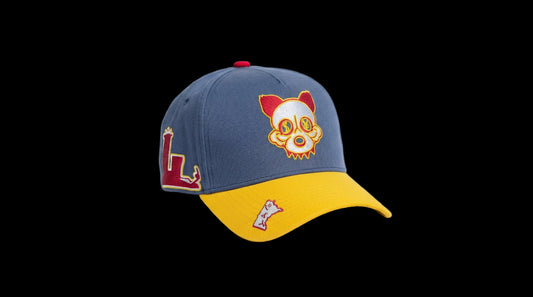 SHY Twin cities snapback hat