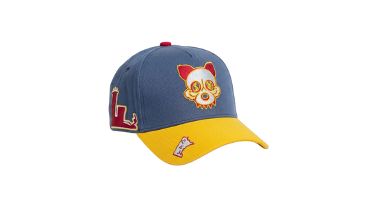 SHY Twin cities snapback hat